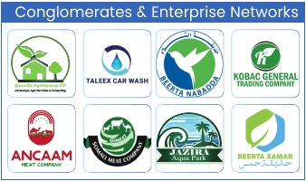 Conglomerates and Enterprise Networks logos